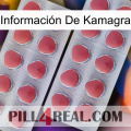 Información De Kamagra 19